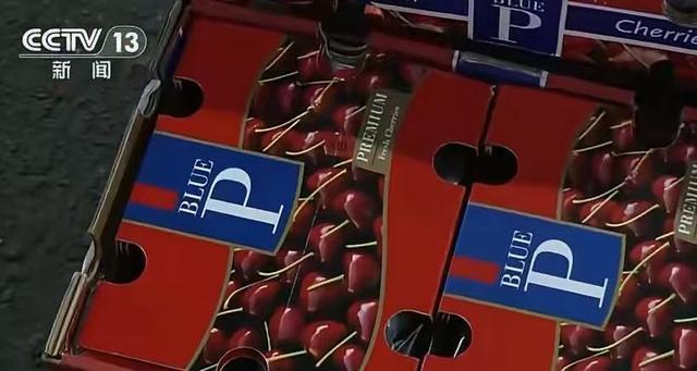 �����Ӻ��ʺ��������ߣ�ר�ң�50����ӣ�ҡ�1Ƭ�ʺ���