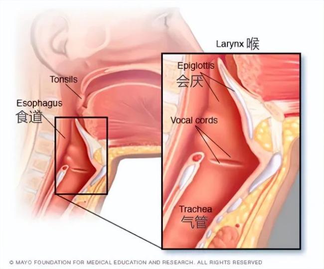 ���ڸ߷���ɤ���ۣ�����һ�����յļ�֢